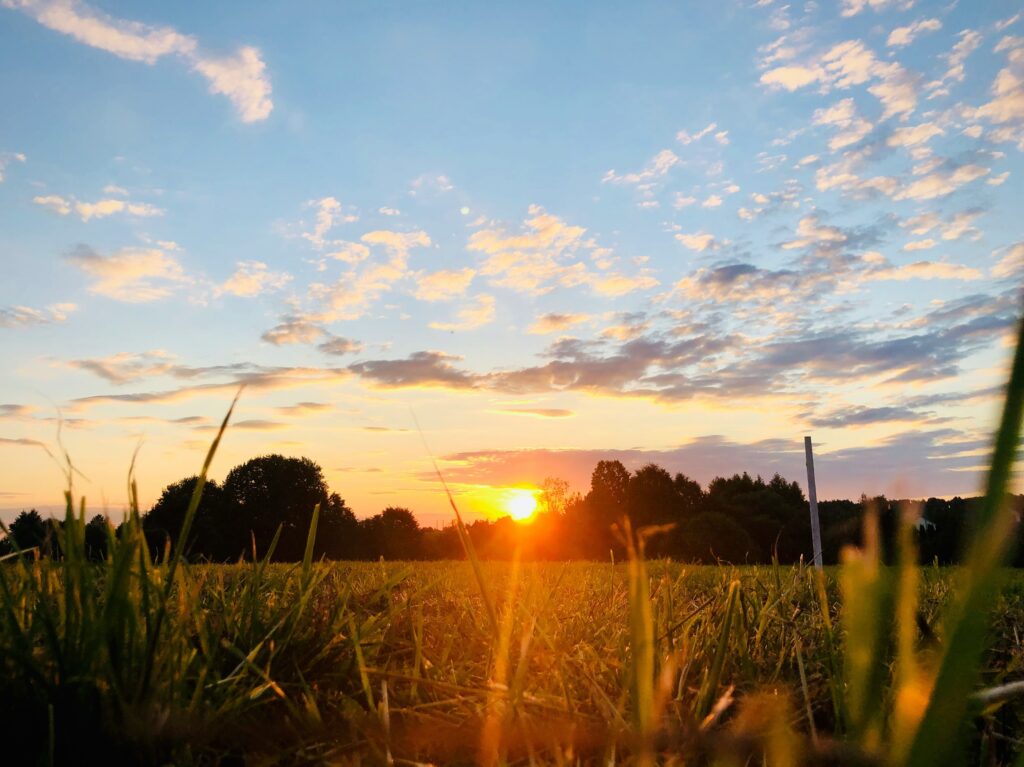 Morgenroutine